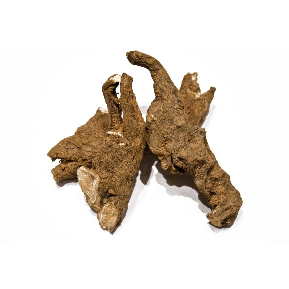 Korzeń mandragory. 20g.