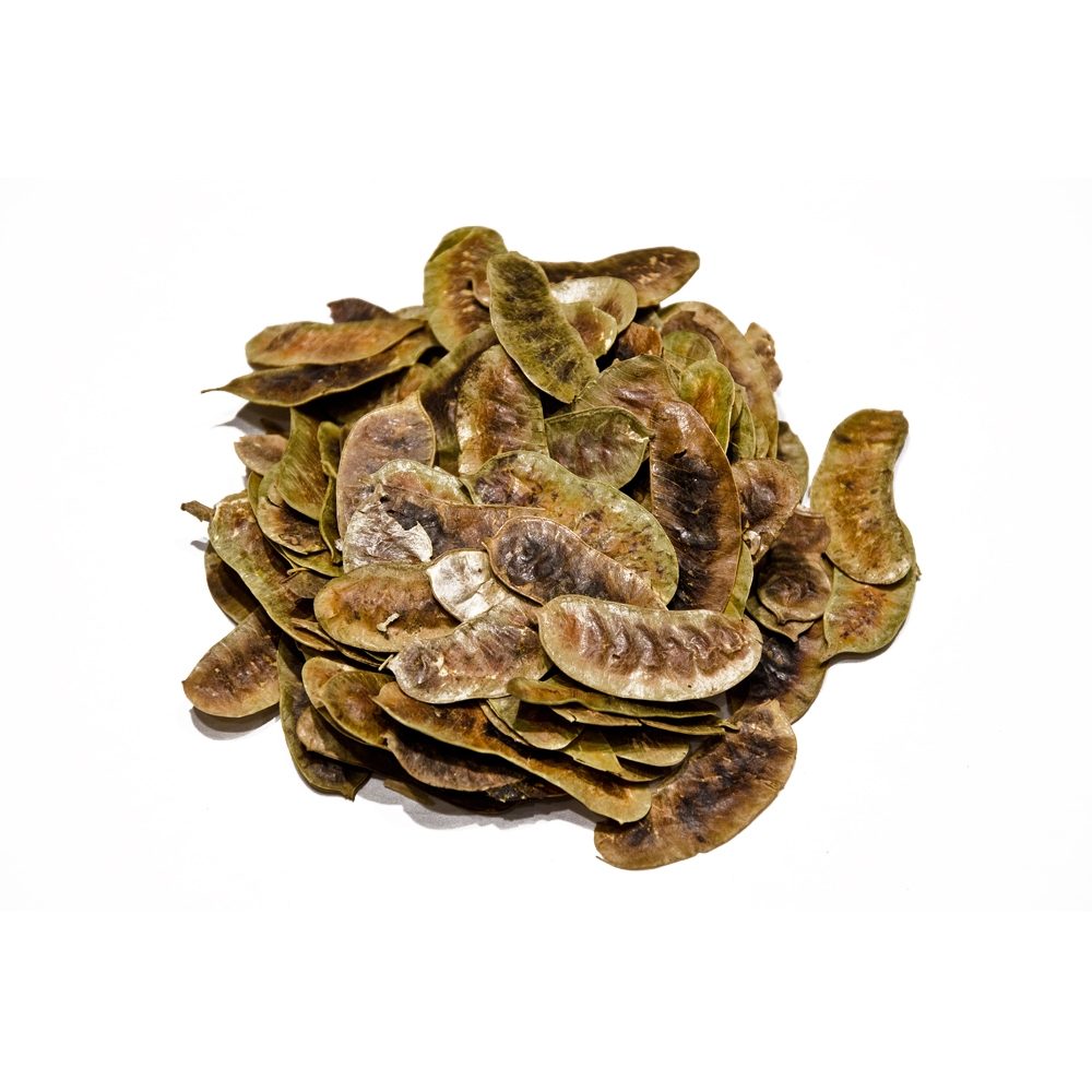 Liście senesu aleksandryjskiego (senes egipski). 100g.