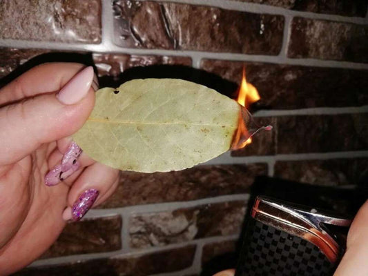 Liść Laurowy: Jak Używać Go do Aromatyzowania Powietrza w Domu