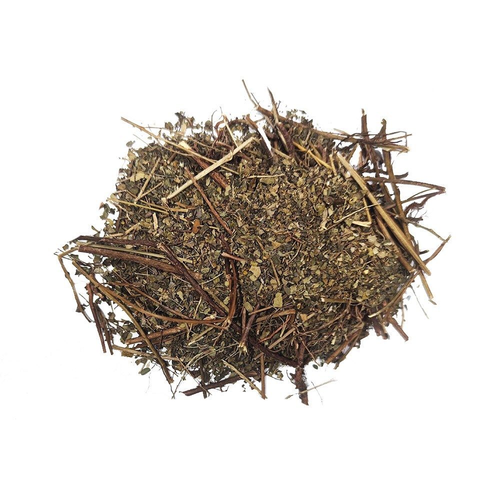 Wykuta w skale Chanca Piedra PHYLANTHOS. 30g.