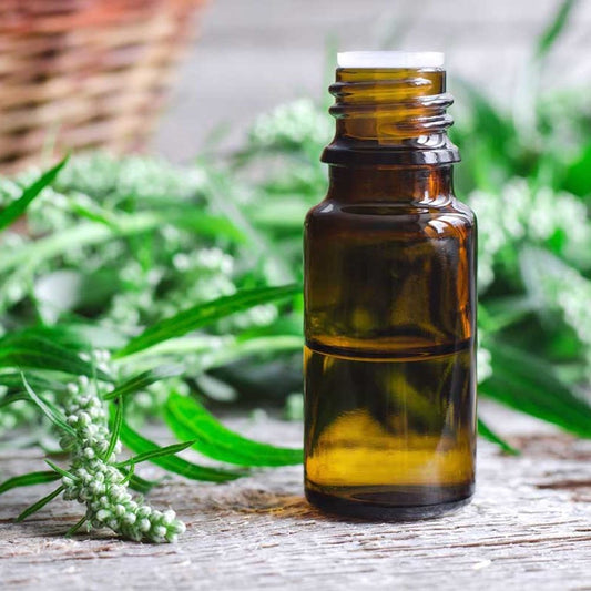 Nalewka z miłorzębu japońskiego. 50 ml